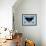 Black Butterfly-Ikahl Beckford-Framed Giclee Print displayed on a wall