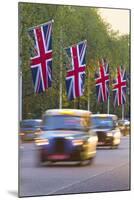 Black Cabs Along the Mall with Union Jack Flags, London, England, United Kingdom, Europe-Stuart Black-Mounted Photographic Print