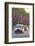 Black Cabs Along the Mall with Union Jack Flags, London, England, United Kingdom, Europe-Stuart Black-Framed Photographic Print