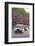 Black Cabs Along the Mall with Union Jack Flags, London, England, United Kingdom, Europe-Stuart Black-Framed Photographic Print