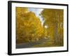 Black Canyon, Gunnison National Park, Colorado, USA-Don Grall-Framed Photographic Print