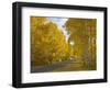 Black Canyon, Gunnison National Park, Colorado, USA-Don Grall-Framed Photographic Print