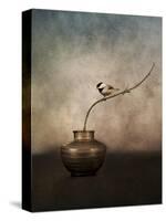 Black Capped Chickadee on a Vase-Jai Johnson-Stretched Canvas