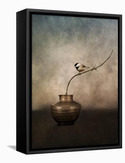Black Capped Chickadee on a Vase-Jai Johnson-Framed Stretched Canvas