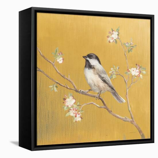 Black Capped Chickadee on Gold-Danhui Nai-Framed Stretched Canvas