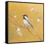 Black Capped Chickadee on Gold-Danhui Nai-Framed Stretched Canvas