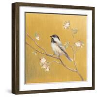 Black Capped Chickadee on Gold-Danhui Nai-Framed Art Print