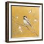 Black Capped Chickadee on Gold-Danhui Nai-Framed Art Print