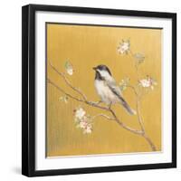 Black Capped Chickadee on Gold-Danhui Nai-Framed Art Print