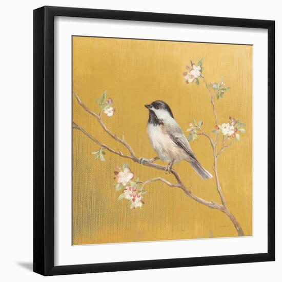 Black Capped Chickadee on Gold-Danhui Nai-Framed Art Print