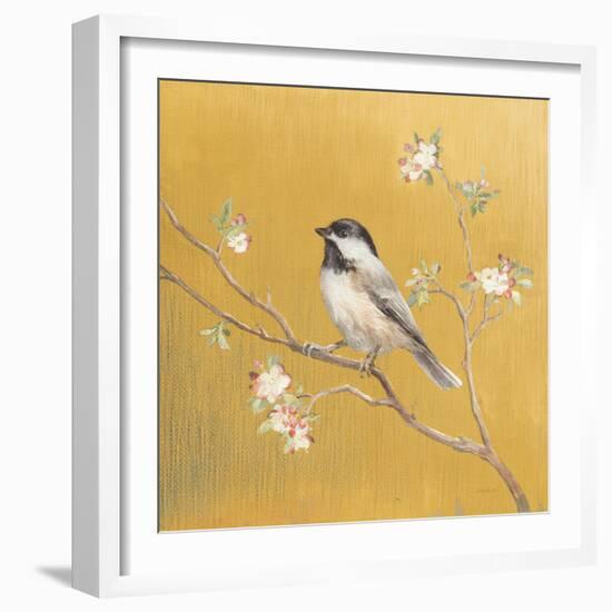 Black Capped Chickadee on Gold-Danhui Nai-Framed Art Print