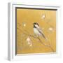 Black Capped Chickadee on Gold-Danhui Nai-Framed Art Print