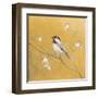 Black Capped Chickadee on Gold-Danhui Nai-Framed Art Print