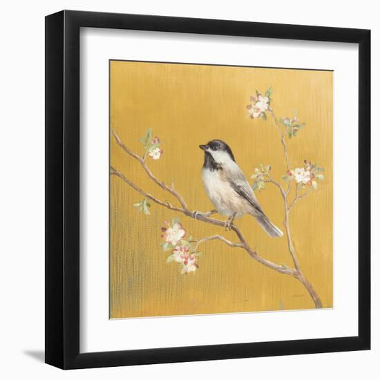 Black Capped Chickadee on Gold-Danhui Nai-Framed Art Print