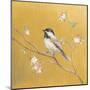 Black Capped Chickadee on Gold-Danhui Nai-Mounted Art Print