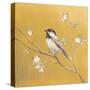 Black Capped Chickadee on Gold-Danhui Nai-Stretched Canvas