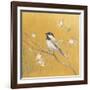 Black Capped Chickadee on Gold-Danhui Nai-Framed Art Print