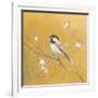 Black Capped Chickadee on Gold-Danhui Nai-Framed Art Print