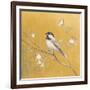 Black Capped Chickadee on Gold-Danhui Nai-Framed Art Print