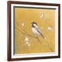 Black Capped Chickadee on Gold-Danhui Nai-Framed Art Print