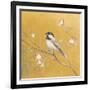 Black Capped Chickadee on Gold-Danhui Nai-Framed Art Print