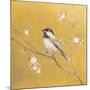 Black Capped Chickadee on Gold-Danhui Nai-Mounted Art Print