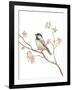 Black Capped Chickadee v2 on White-Danhui Nai-Framed Art Print