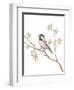 Black Capped Chickadee v2 on White-Danhui Nai-Framed Art Print