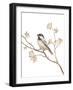 Black Capped Chickadee v2 on White-Danhui Nai-Framed Art Print