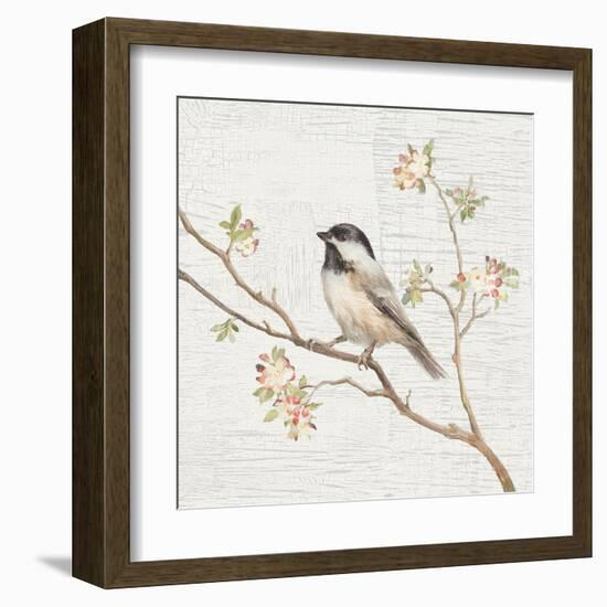 Black Capped Chickadee Vintage-Danhui Nai-Framed Art Print