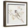 Black Capped Chickadee Vintage-Danhui Nai-Framed Art Print