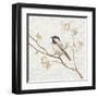 Black Capped Chickadee Vintage-Danhui Nai-Framed Art Print