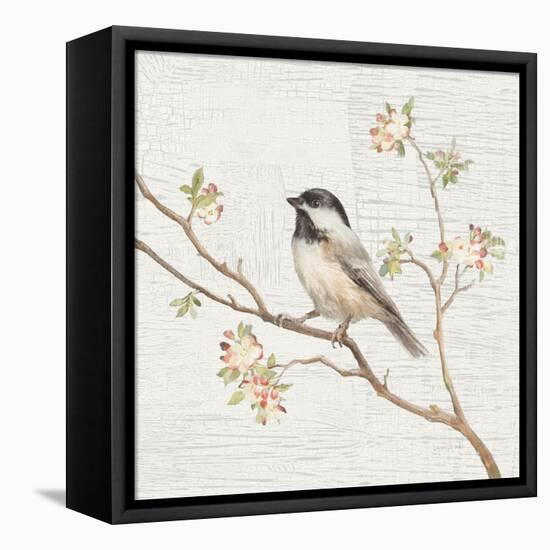 Black Capped Chickadee Vintage-Danhui Nai-Framed Stretched Canvas