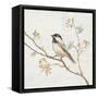 Black Capped Chickadee Vintage-Danhui Nai-Framed Stretched Canvas