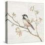 Black Capped Chickadee Vintage-Danhui Nai-Stretched Canvas