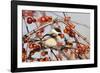 Black-Capped Chickadee-null-Framed Photographic Print