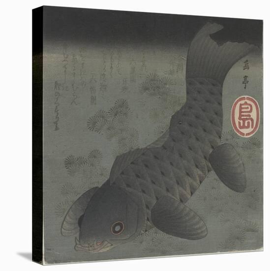 Black Carp, Mid 19th Century-Yashima Gakutei-Stretched Canvas