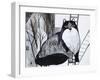 Black Cat 2-Oxana Zaika-Framed Giclee Print