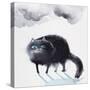 Black Cat 3-Oxana Zaika-Stretched Canvas