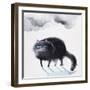 Black Cat 3-Oxana Zaika-Framed Giclee Print