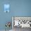 Black Cat and Blue Wall-Steven Boone-Photographic Print displayed on a wall