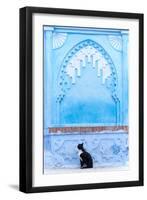 Black Cat and Blue Wall-Steven Boone-Framed Photographic Print