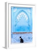 Black Cat and Blue Wall-Steven Boone-Framed Photographic Print