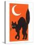 Black Cat and Moon-null-Stretched Canvas