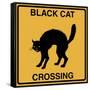 Black Cat Crossing-Tina Lavoie-Framed Stretched Canvas