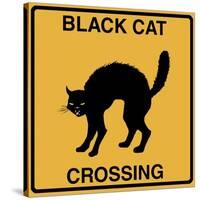 Black Cat Crossing-Tina Lavoie-Stretched Canvas