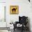 Black Cat Crossing-Tina Lavoie-Stretched Canvas displayed on a wall