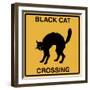 Black Cat Crossing-Tina Lavoie-Framed Giclee Print