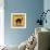 Black Cat Crossing-Tina Lavoie-Framed Giclee Print displayed on a wall