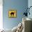 Black Cat Crossing-Tina Lavoie-Mounted Giclee Print displayed on a wall